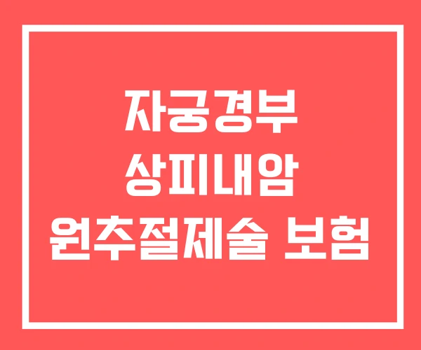 자궁경부 상피내암 원추절제술 보험