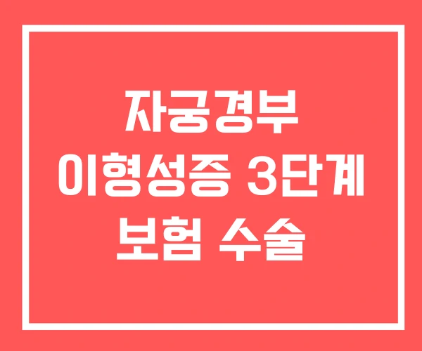 자궁경부 이형성증 3단계 보험 수술
