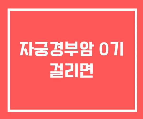 자궁경부암 0기 걸리면