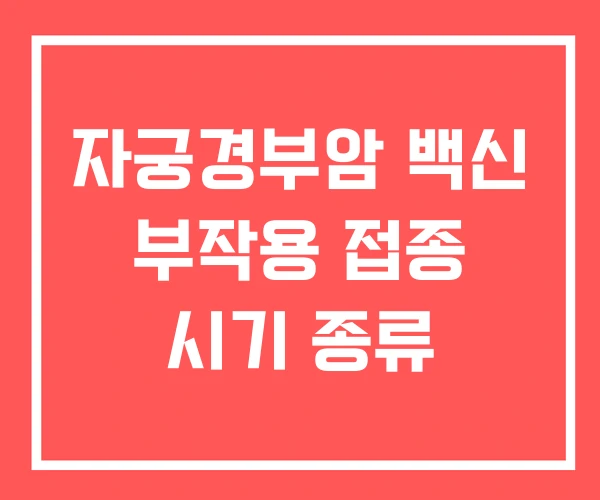 자궁경부암 백신 부작용 접종 시기 종류