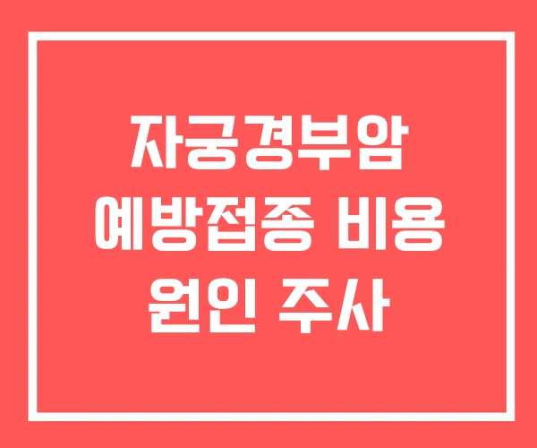 자궁경부암 예방접종 비용 원인 주사