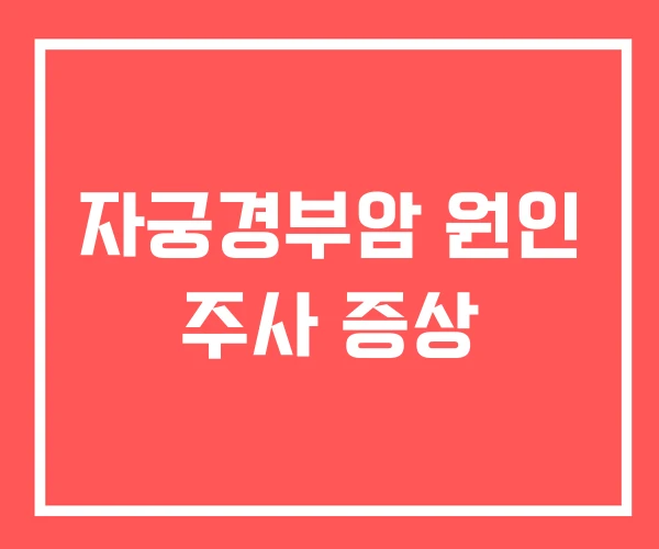 자궁경부암 원인 주사 증상