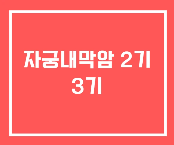 자궁내막암 2기 3기