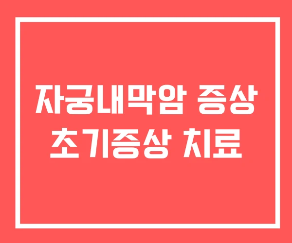 자궁내막암 증상 초기증상 치료