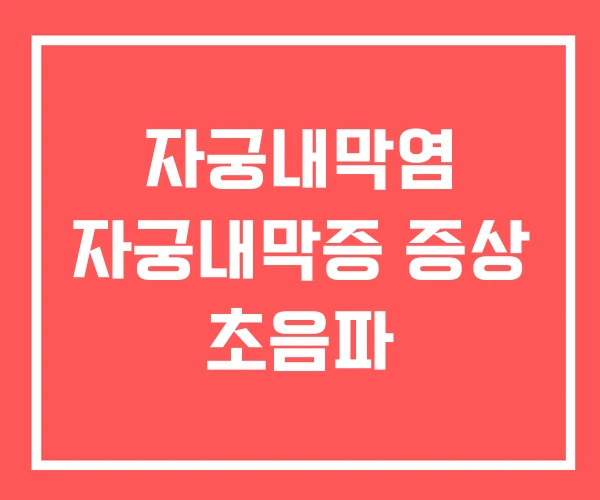 자궁내막염 자궁내막증 증상 초음파