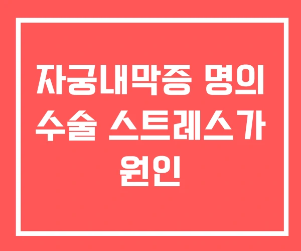 자궁내막증 명의 수술 스트레스가 원인