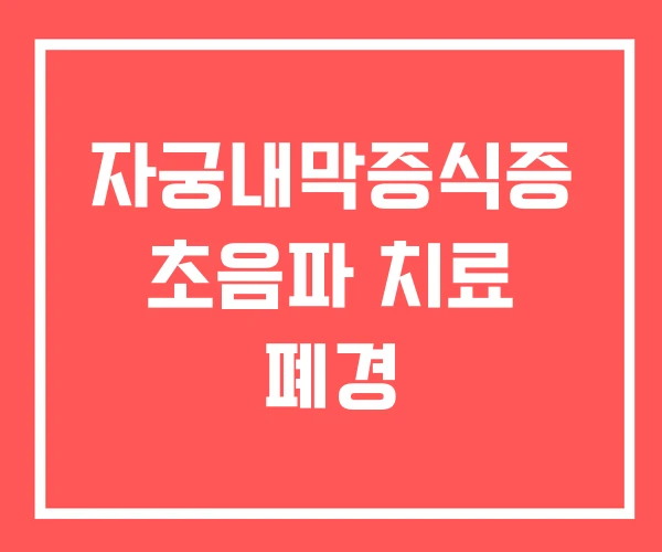 자궁내막증식증 초음파 치료 폐경