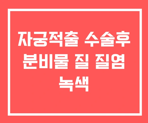 자궁적출 수술후 분비물 질 질염 녹색