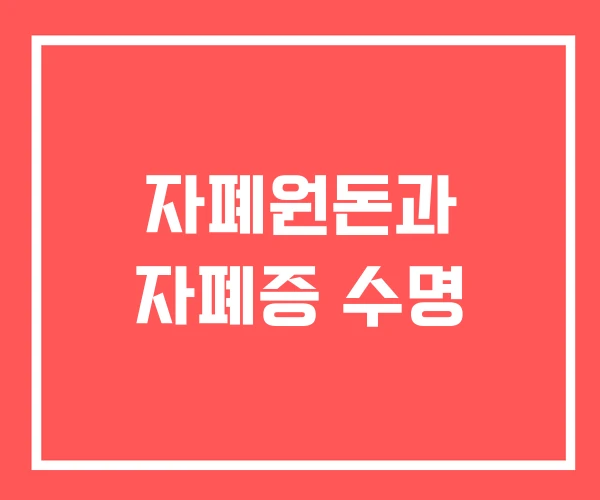 자폐원돈과 자폐증 수명