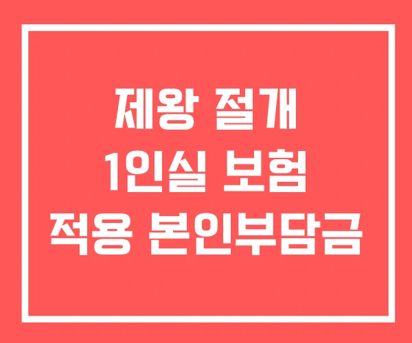 제왕 절개 1인실 보험 적용 본인부담금