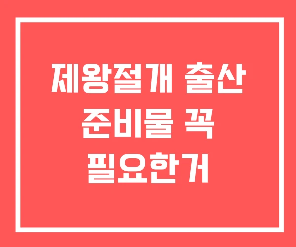 제왕절개 출산 준비물 꼭 필요한거