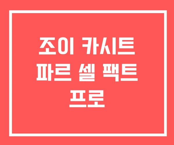 조이 카시트 파르 셀 팩트 프로