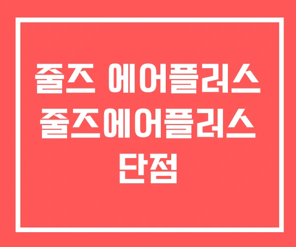 줄즈 에어플러스 줄즈에어플러스 단점