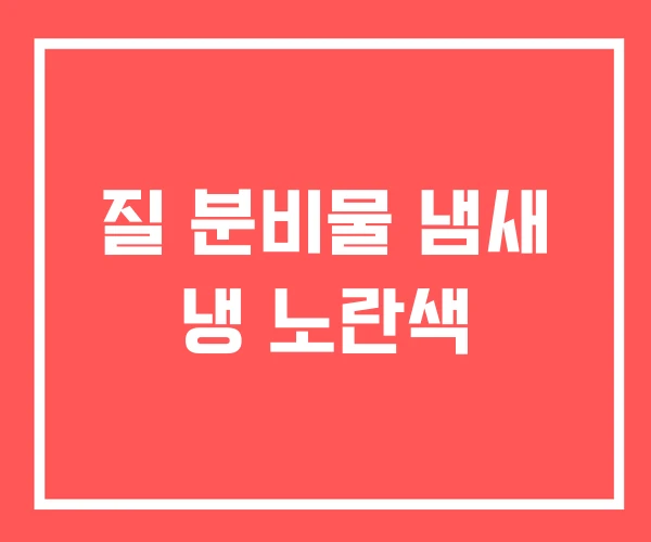 질 분비물 냄새 냉 노란색