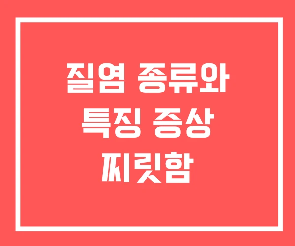 질염 종류와 특징 증상 찌릿함
