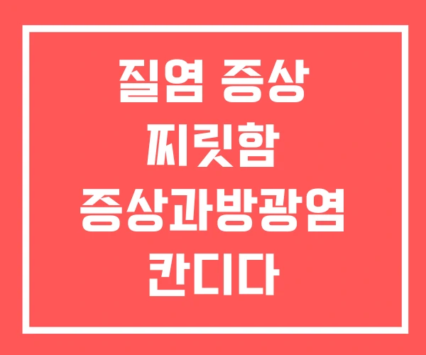 질염 증상 찌릿함 증상과방광염 칸디다