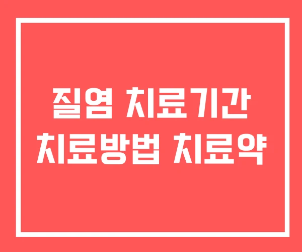 질염 치료기간 치료방법 치료약