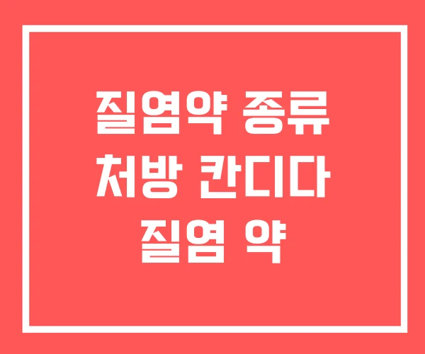 질염약 종류 처방 칸디다 질염 약