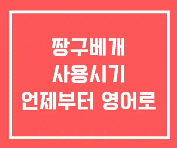 짱구베개 사용시기 언제부터 영어로