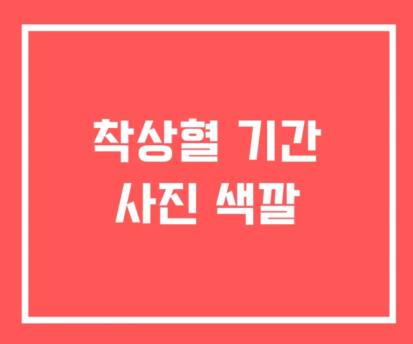 착상혈 기간 사진 색깔