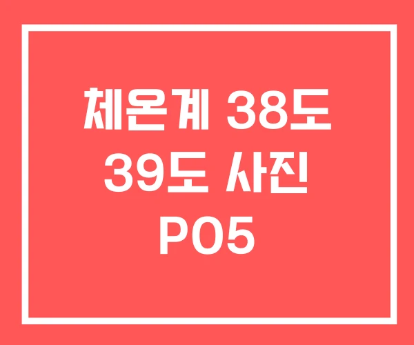 체온계 38도 39도 사진 PO5