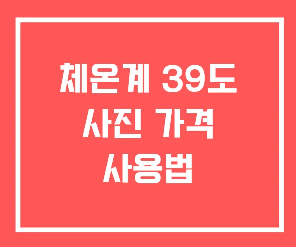 체온계 39도 사진 가격 사용법