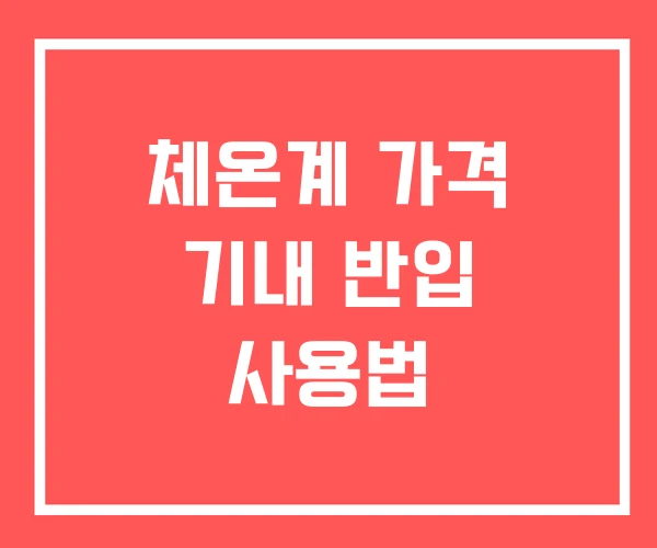 체온계 가격 기내 반입 사용법