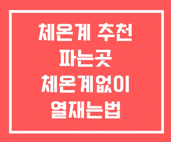 체온계 추천 파는곳 체온계없이 열재는법