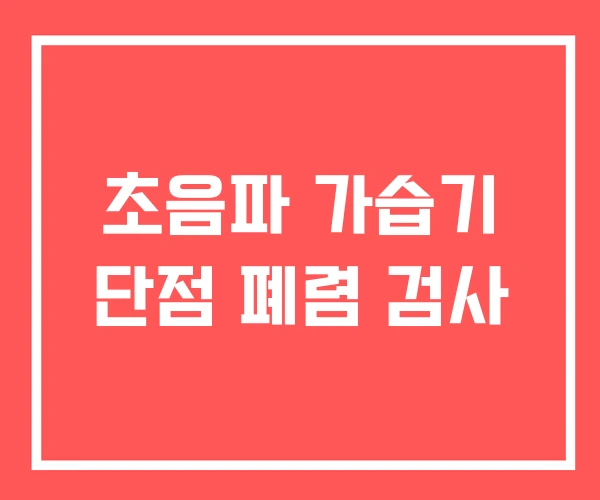 초음파 가습기 단점 폐렴 검사