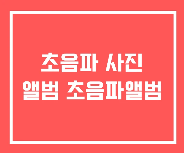 초음파 사진 앨범 초음파앨범