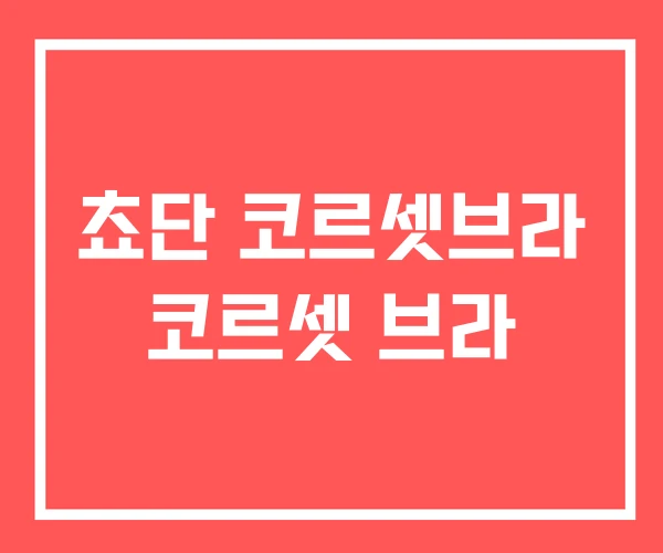 쵸단 코르셋브라 코르셋 브라