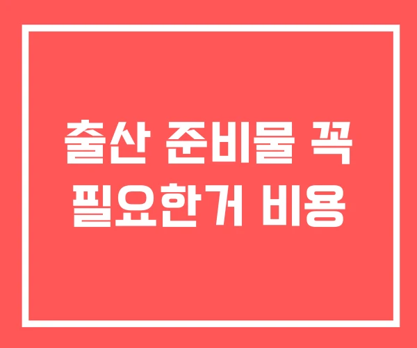 출산 준비물 꼭 필요한거 비용