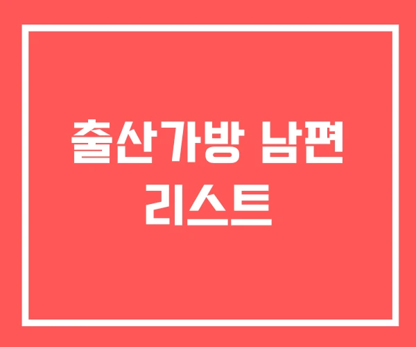 출산가방 남편 리스트