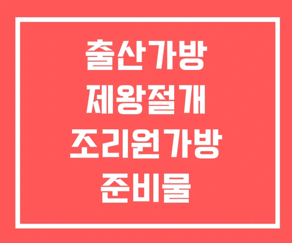 출산가방 제왕절개 조리원가방 준비물