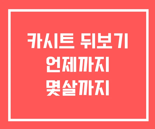 카시트 뒤보기 언제까지 몇살까지