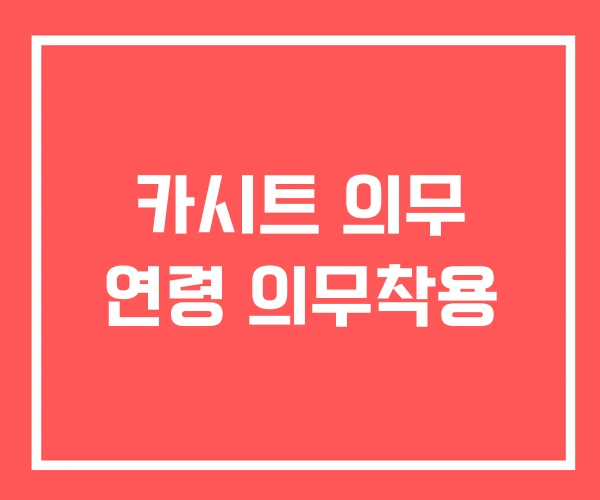 카시트 의무 연령 의무착용