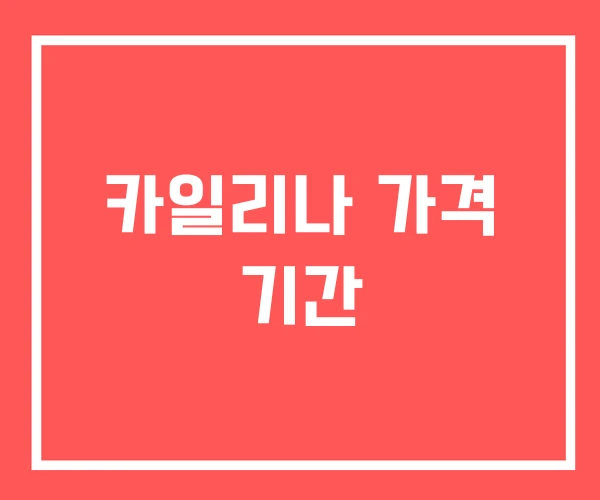 카일리나 가격 기간