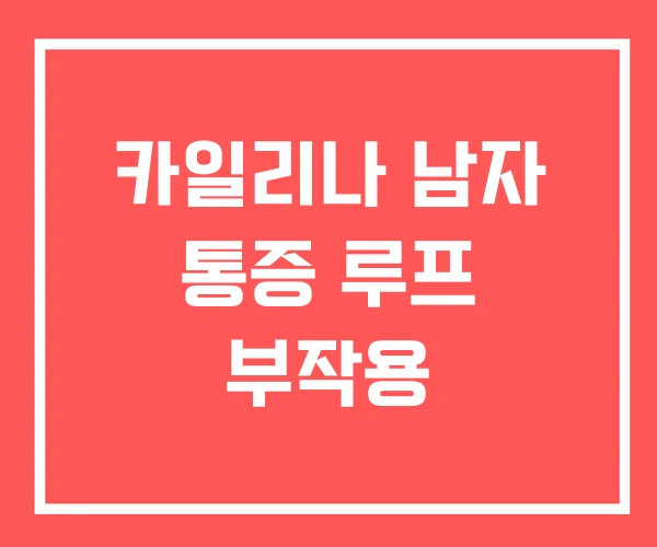 카일리나 남자 통증 루프 부작용
