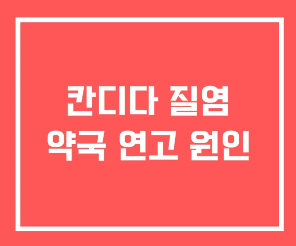 칸디다 질염 약국 연고 원인