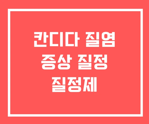 칸디다 질염 증상 질정 질정제