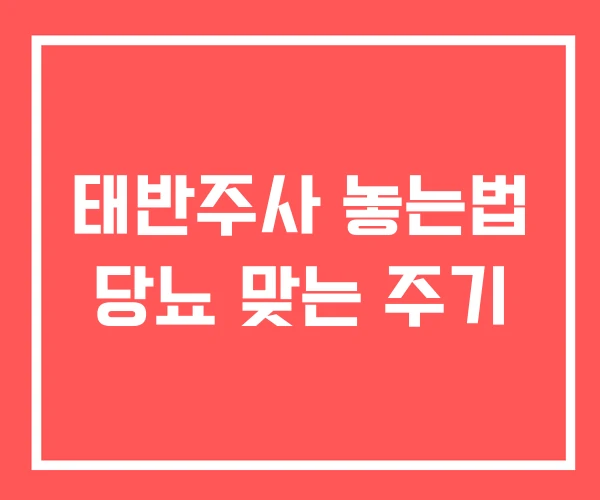 태반주사 놓는법 당뇨 맞는 주기