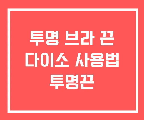 투명 브라 끈 다이소 사용법 투명끈