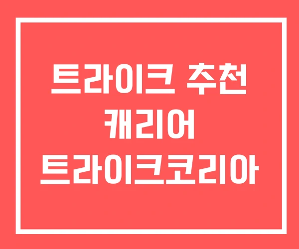 트라이크 추천 캐리어 트라이크코리아