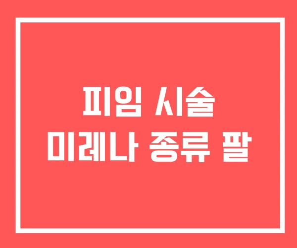 피임 시술 미레나 종류 팔