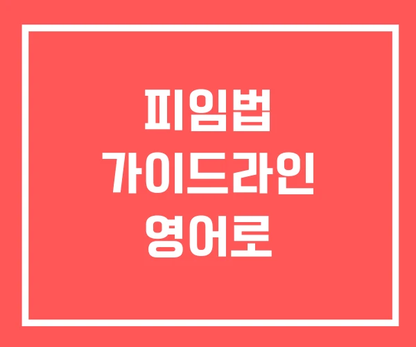 피임법 가이드라인 영어로