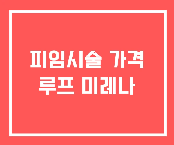 피임시술 가격 루프 미레나