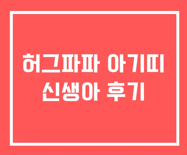 허그파파 아기띠 신생아 후기