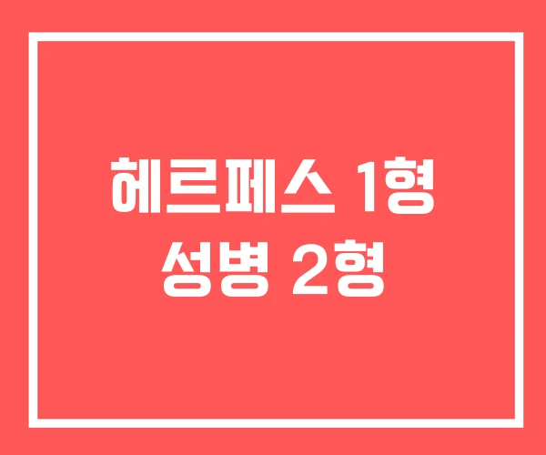 헤르페스 1형 성병 2형