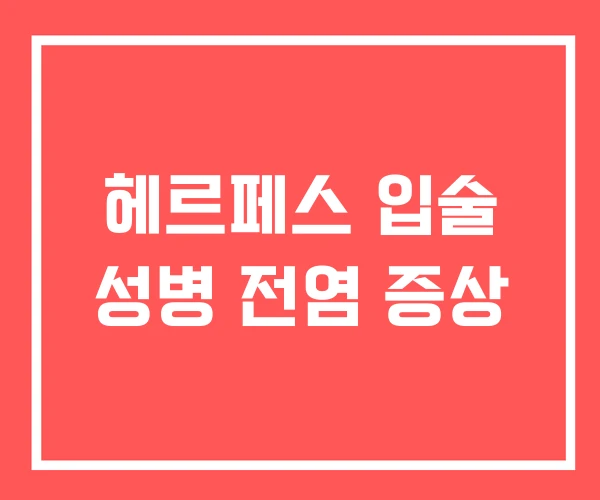 헤르페스 입술 성병 전염 증상