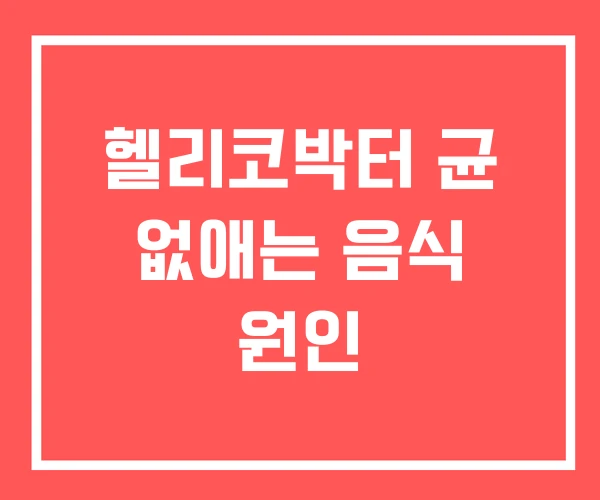 헬리코박터 균 없애는 음식 원인